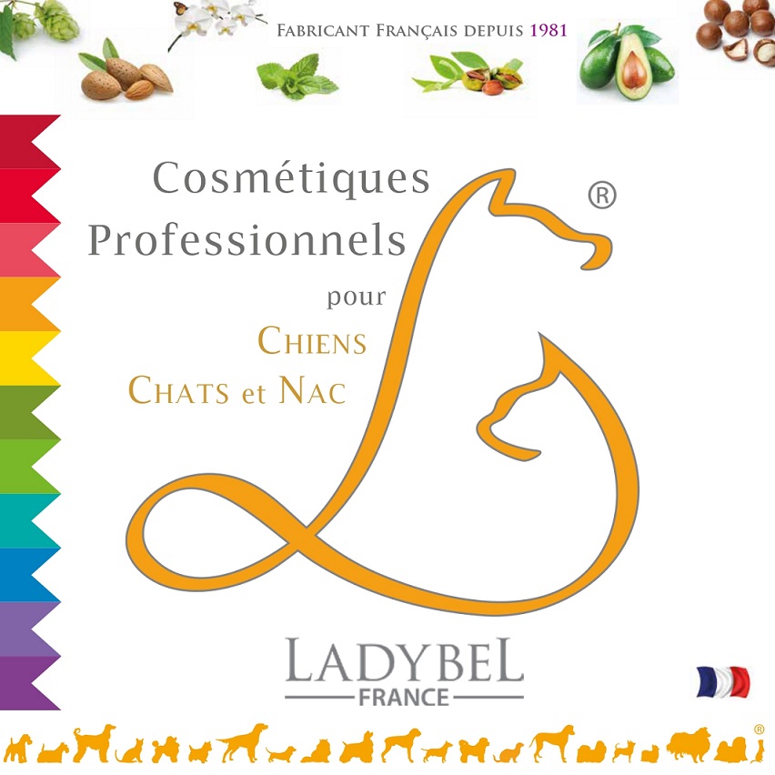 marque%20ladybel